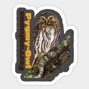 Ferruginous Pygmy-Owl color Sticker